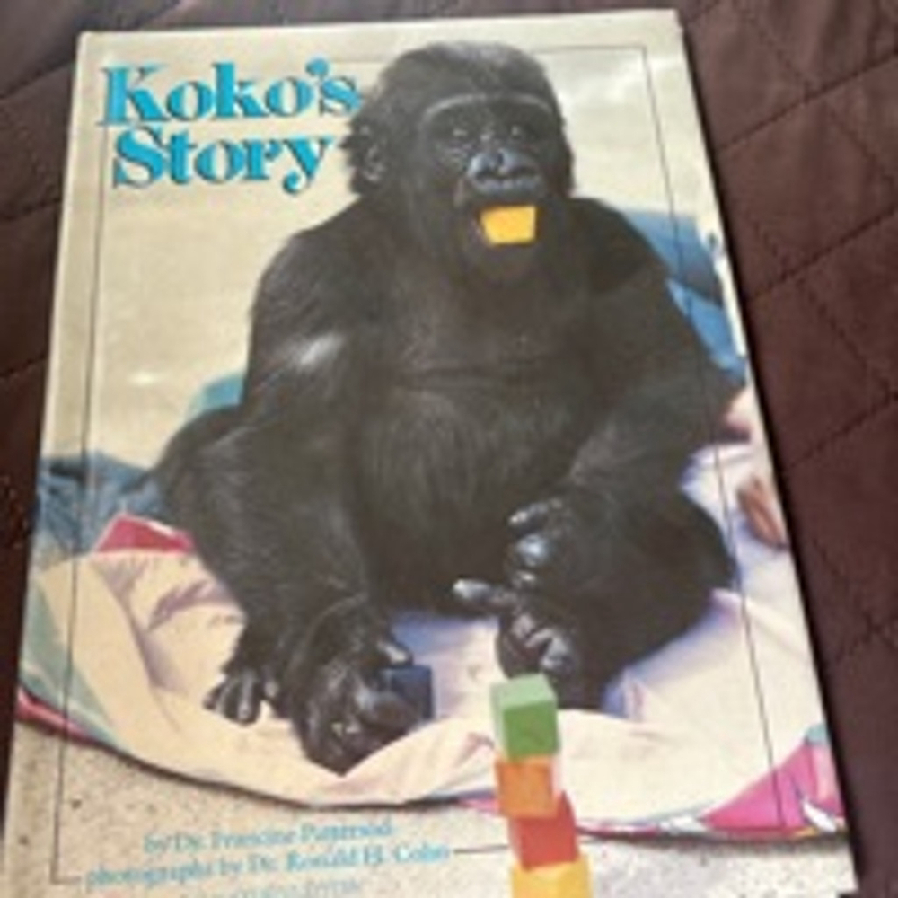Unisex Scholastic Koko's Story Book